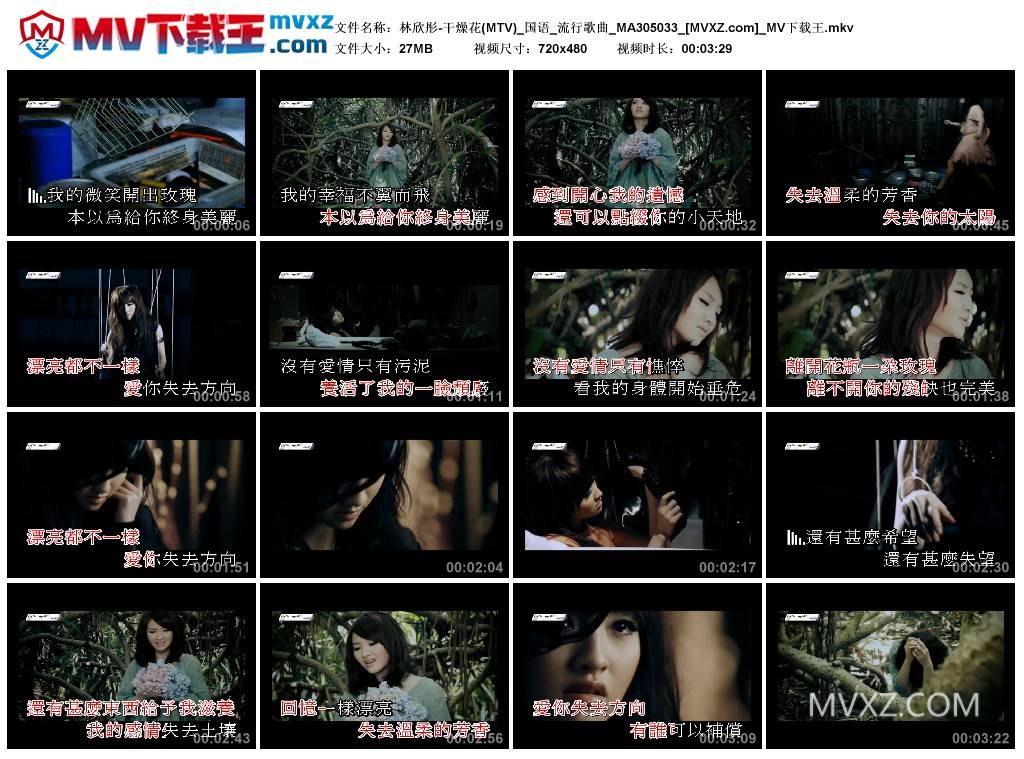 林欣彤-干燥花(MTV)_国语_流行歌曲_MA305033